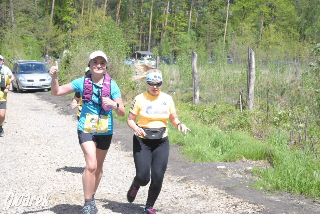 Kalety. Wings for Life 2025