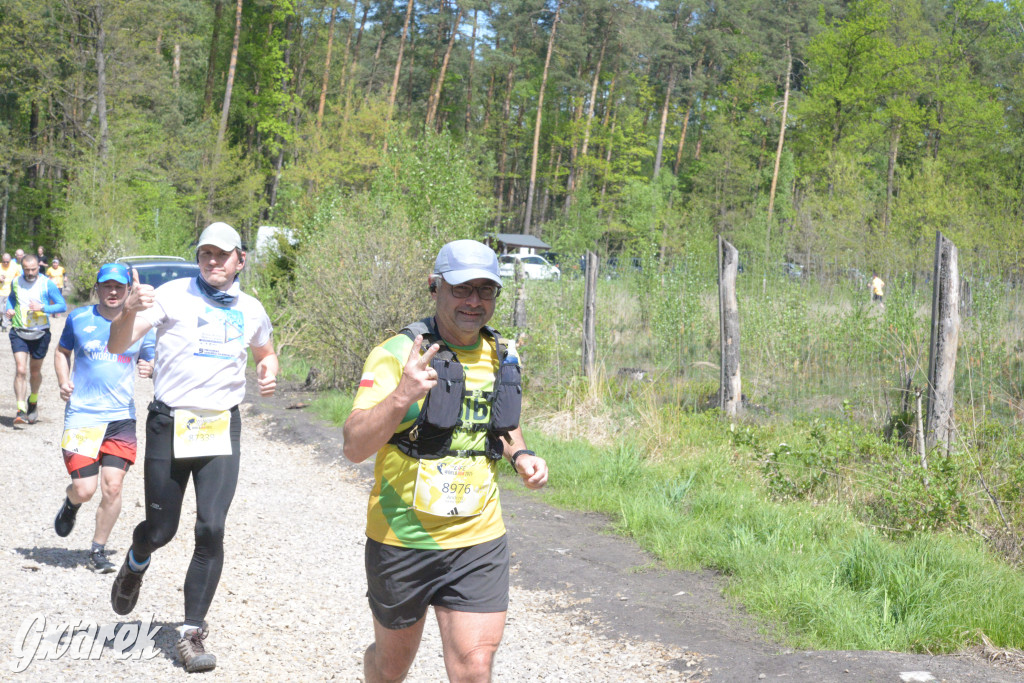 Kalety. Wings for Life 2025