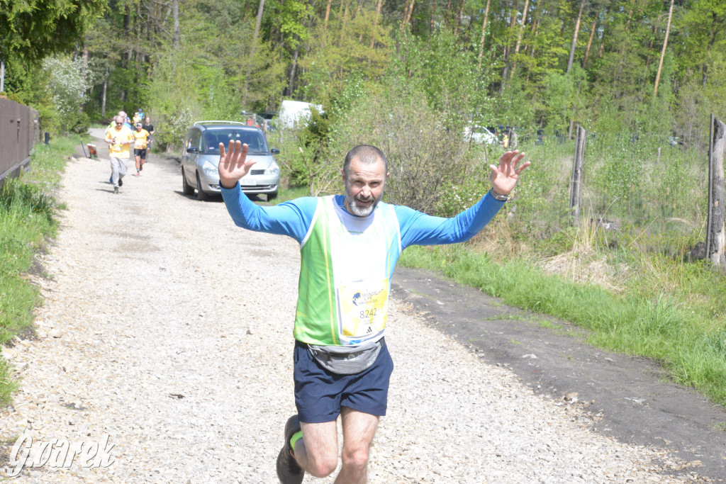 Kalety. Wings for Life 2025