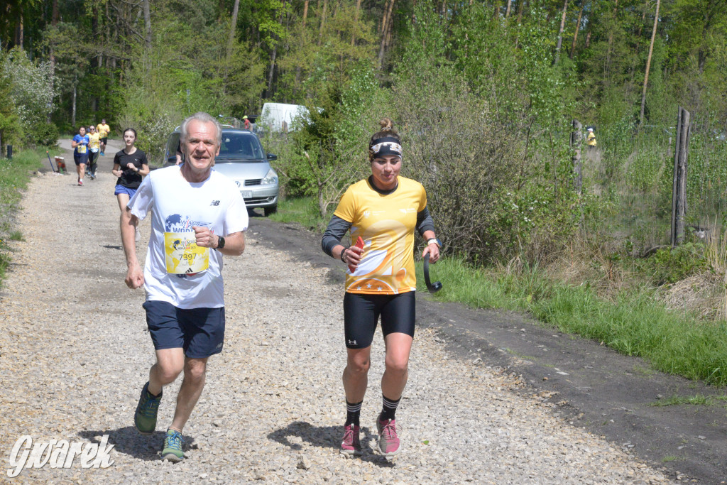 Kalety. Wings for Life 2025