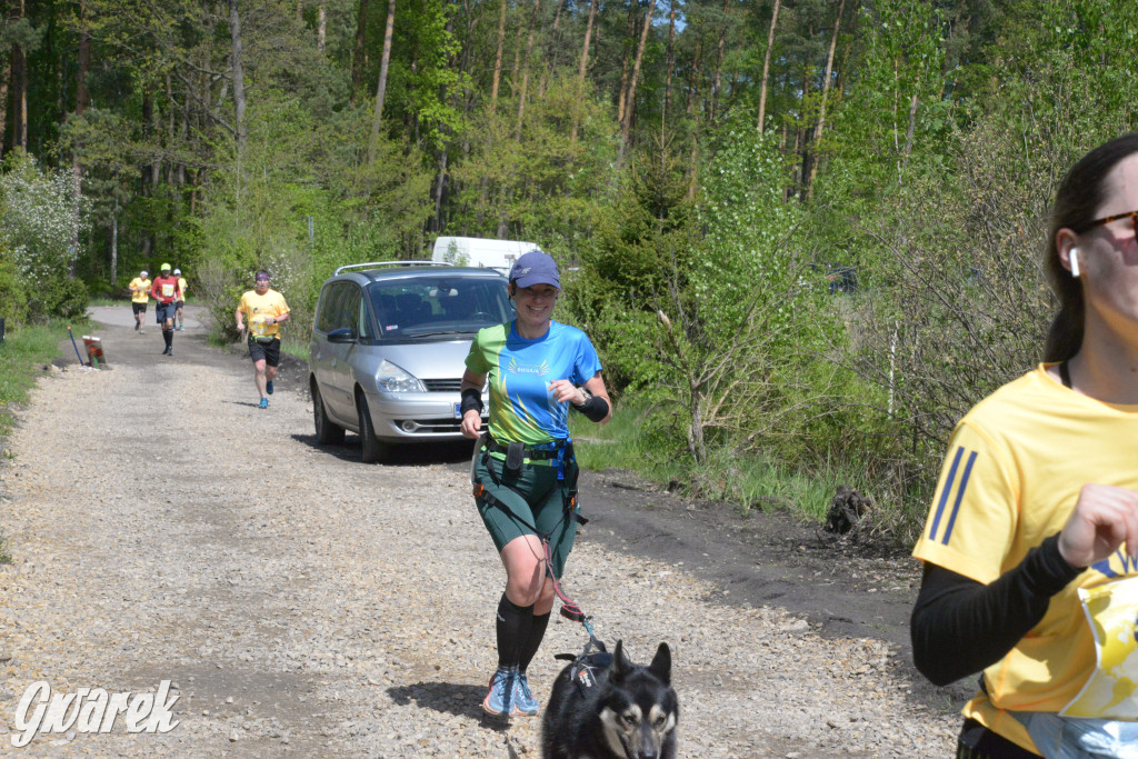 Kalety. Wings for Life 2025