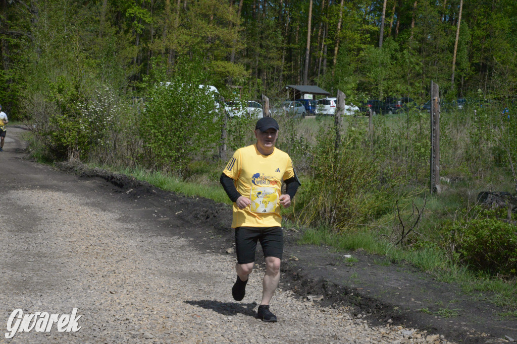 Kalety. Wings for Life 2025