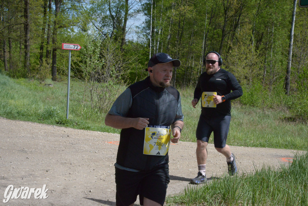 Kalety. Wings for Life 2025