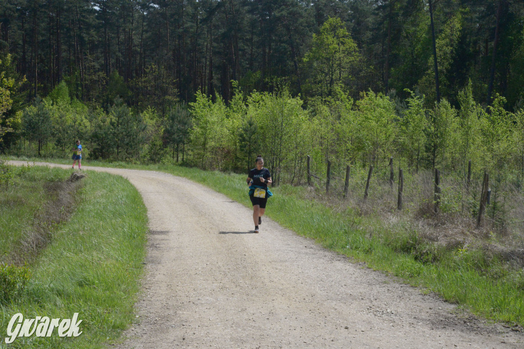 Kalety. Wings for Life 2025