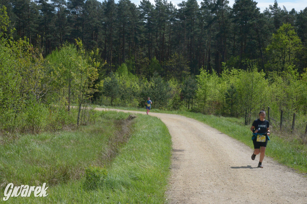 Kalety. Wings for Life 2025