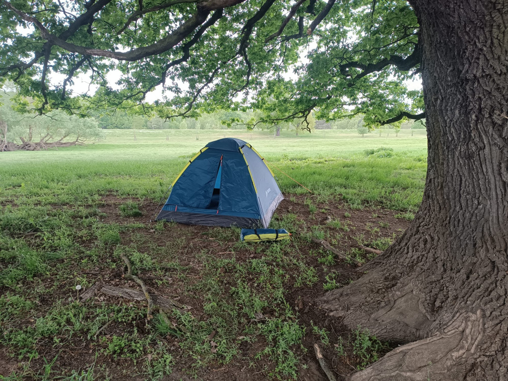 Niewiele zabrakło do celu. Kontuzja kajakarza