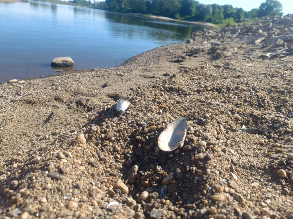 Niewiele zabrakło do celu. Kontuzja kajakarza