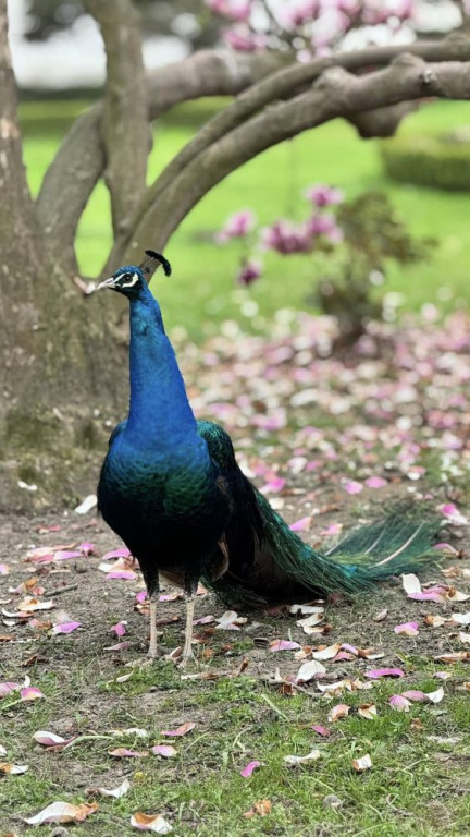 W nagrodę pojechali do partnerskiego miasta