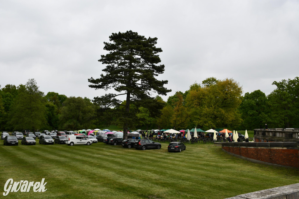 Świerklaniec. Wystawa golden retrieverów