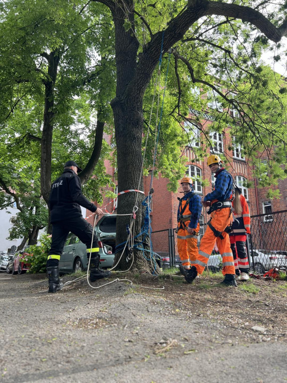 Tarnowskie Góry. Strzały pod szkołą