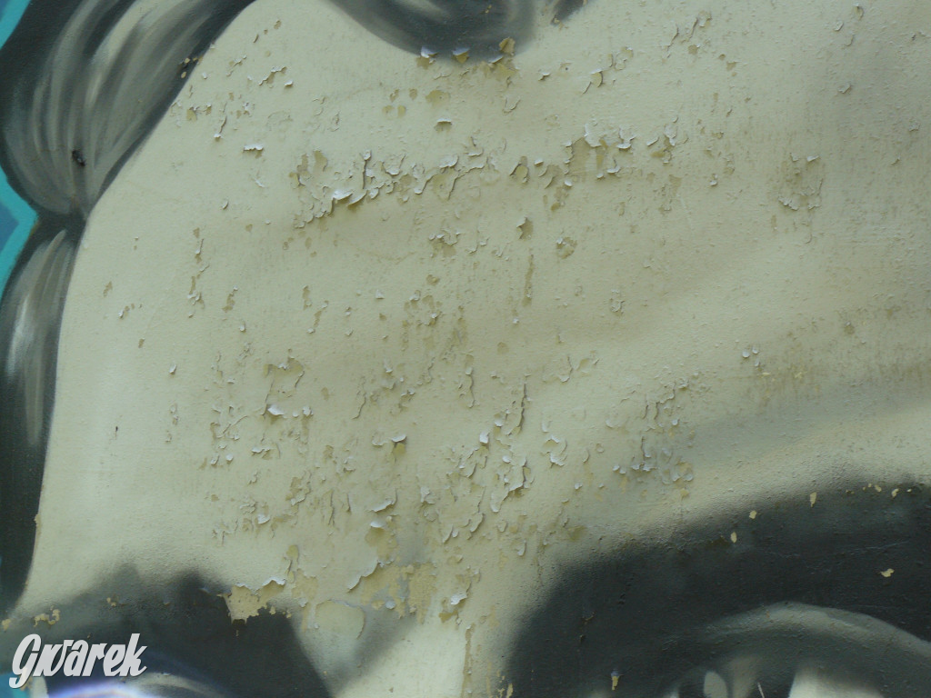 Tarnowskie Góry. Mural w parku Repeckim niszczeje