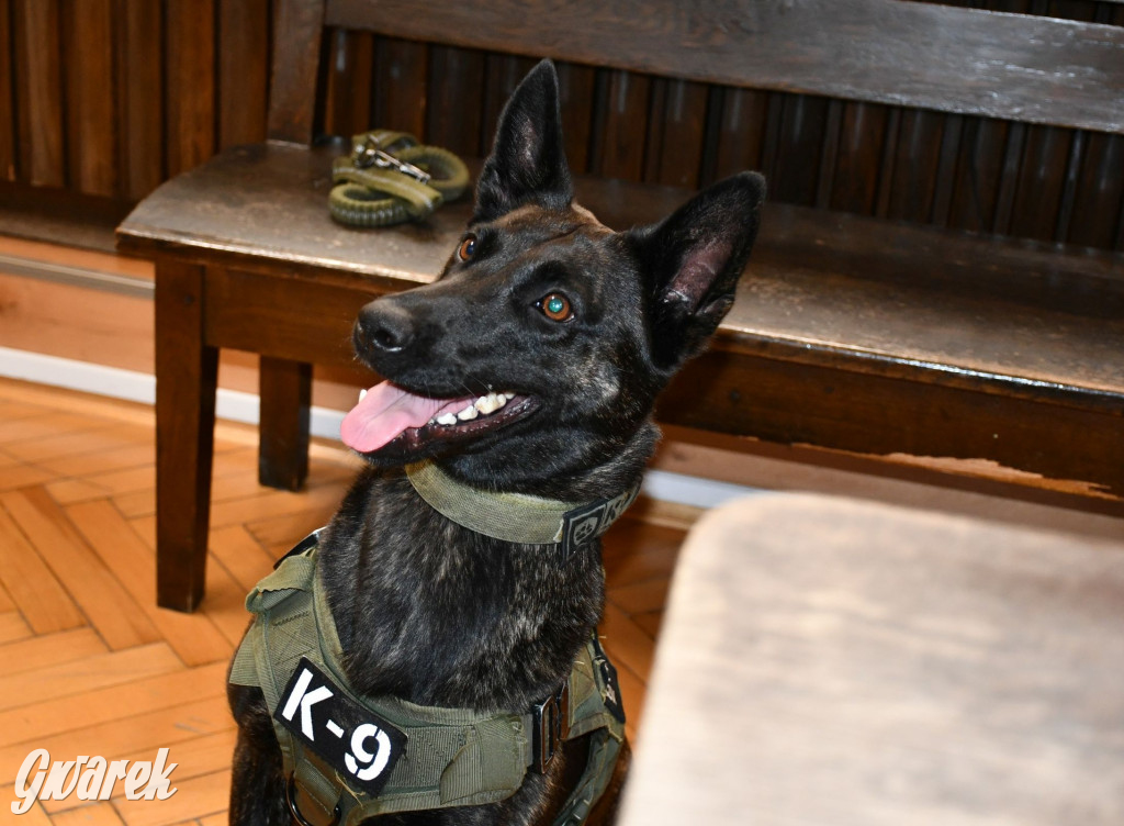 Sąd w Tarnowskich Górach od kuchni [FOTO]