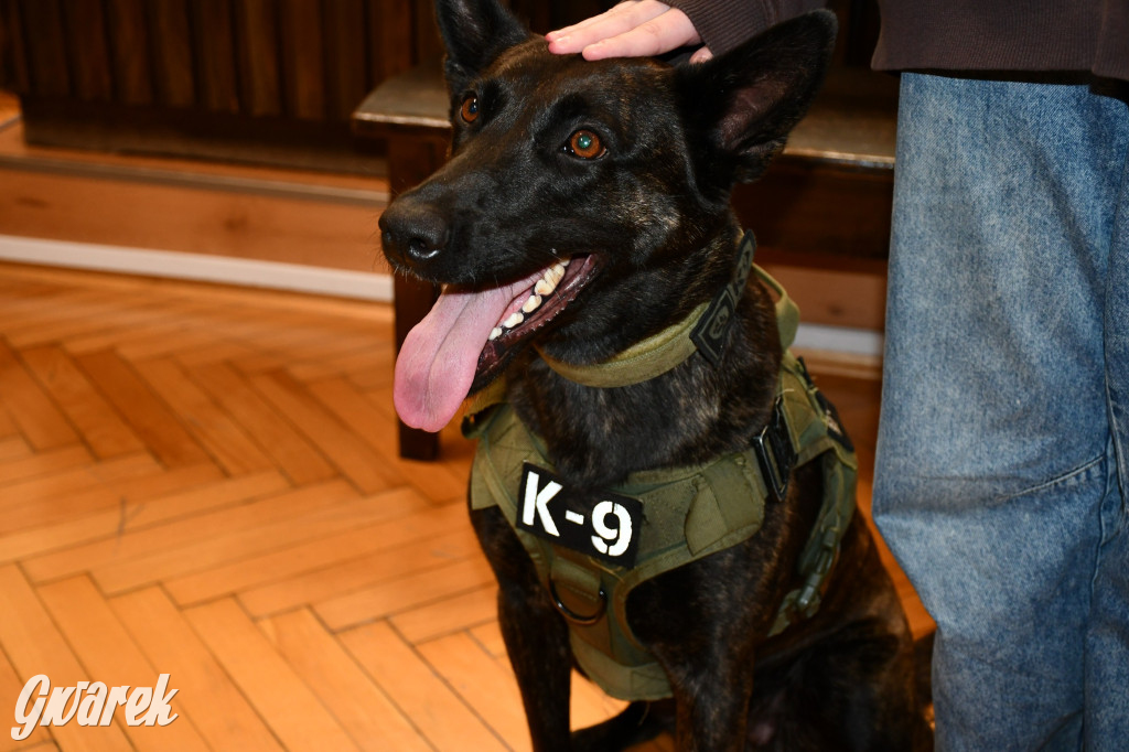 Sąd w Tarnowskich Górach od kuchni [FOTO]