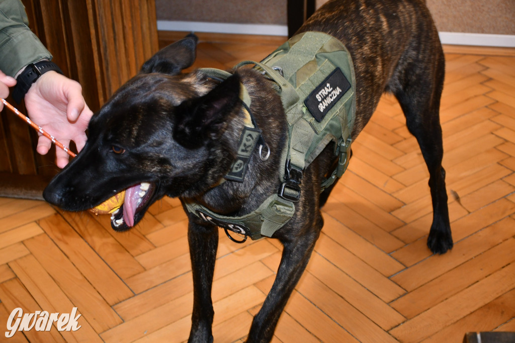 Sąd w Tarnowskich Górach od kuchni [FOTO]