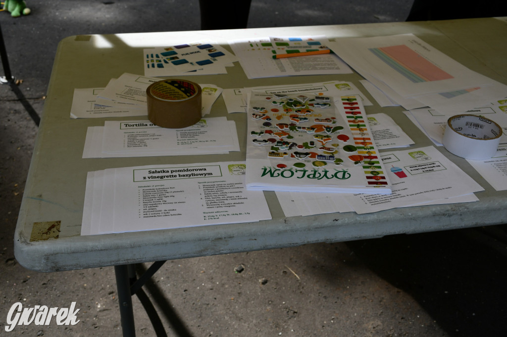 Tarnowskie Góry. Piknik zdrowia w parku