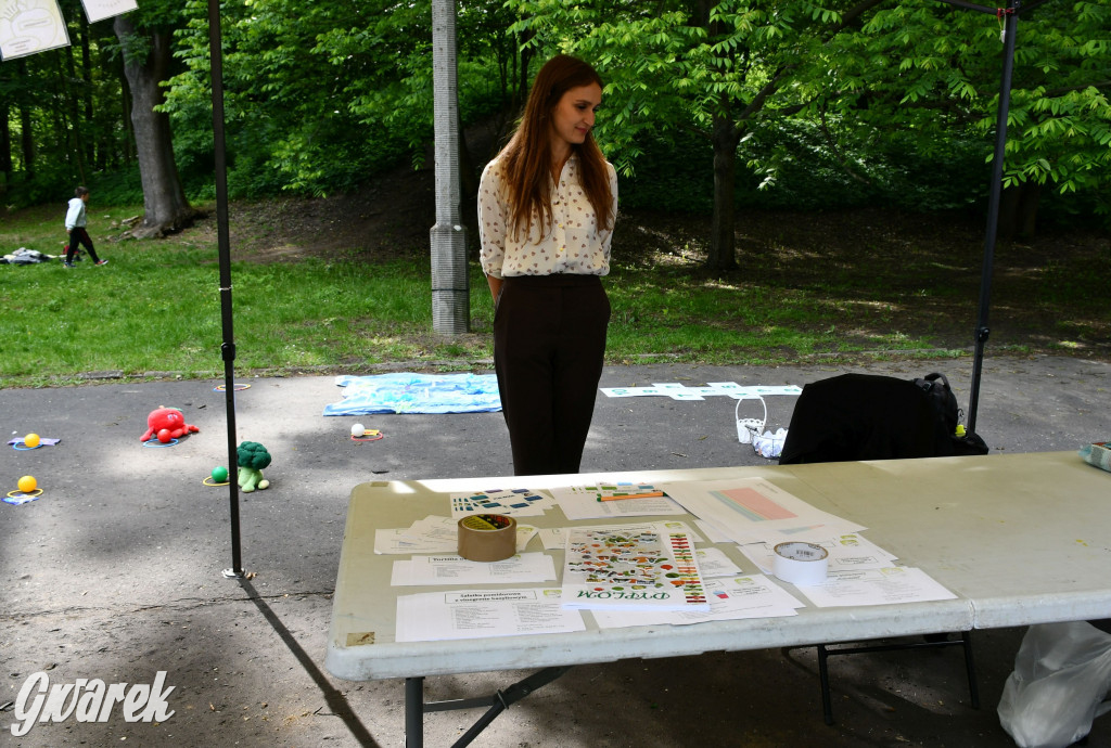 Tarnowskie Góry. Piknik zdrowia w parku