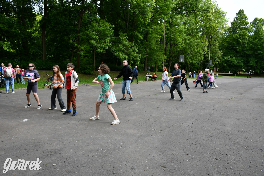 Tarnowskie Góry. Piknik zdrowia w parku
