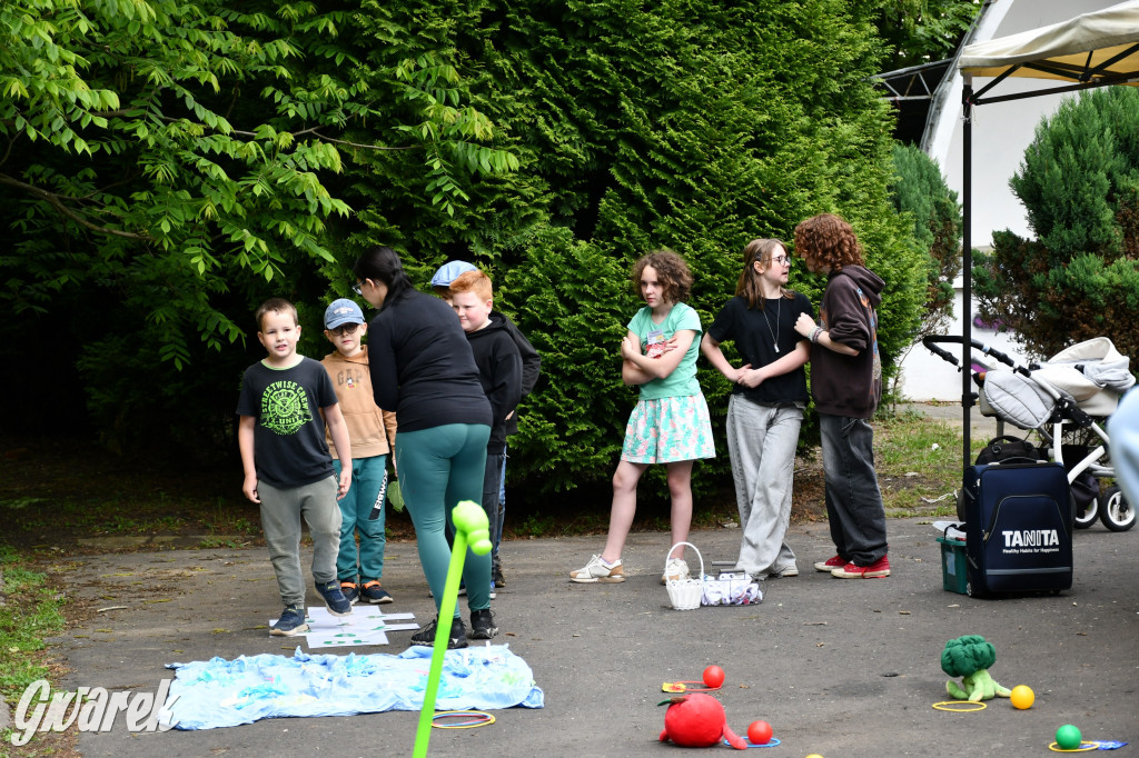 Tarnowskie Góry. Piknik zdrowia w parku