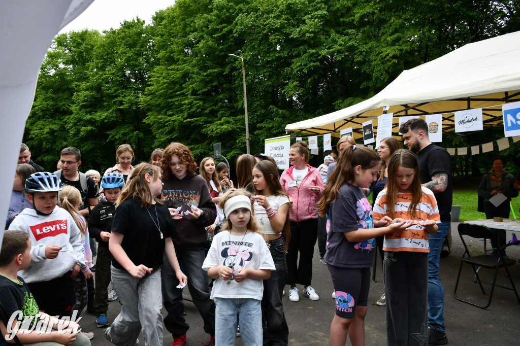 Tarnowskie Góry. Piknik zdrowia w parku