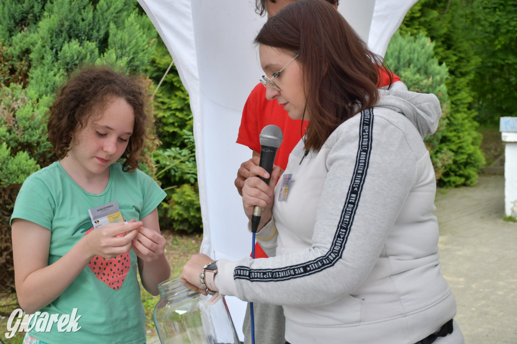 Tarnowskie Góry. Piknik zdrowia w parku