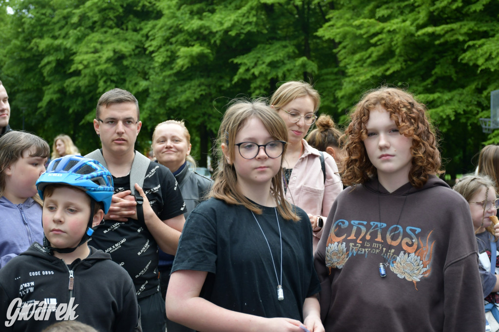 Tarnowskie Góry. Piknik zdrowia w parku