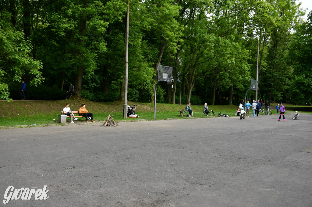 Tarnowskie Góry. Piknik zdrowia w parku