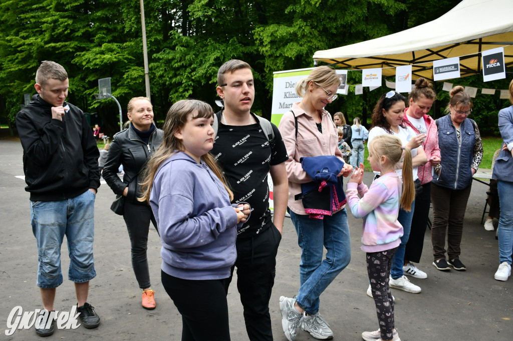 Tarnowskie Góry. Piknik zdrowia w parku
