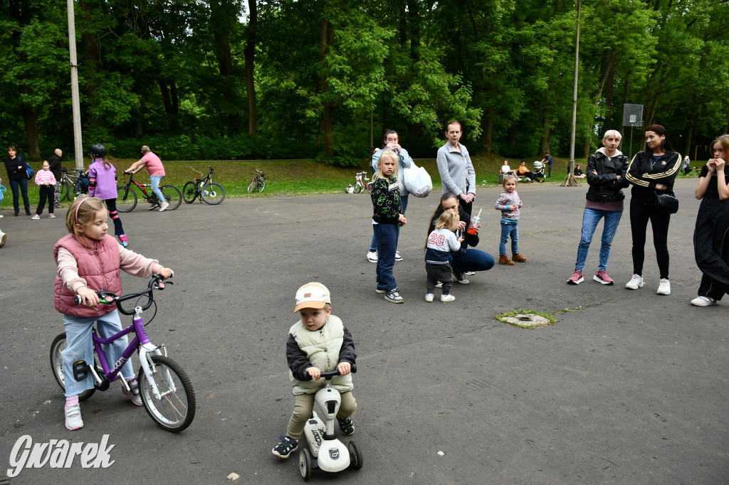Tarnowskie Góry. Piknik zdrowia w parku