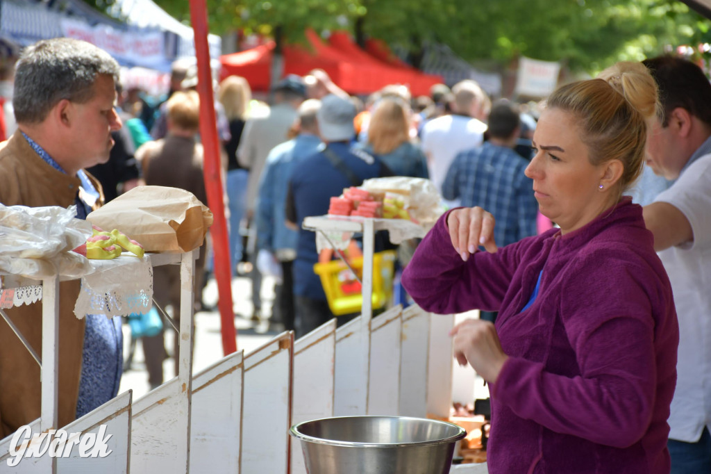 Tysiące pielgrzymów w Piekarach Śląskich