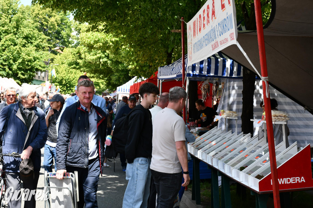Tysiące pielgrzymów w Piekarach Śląskich