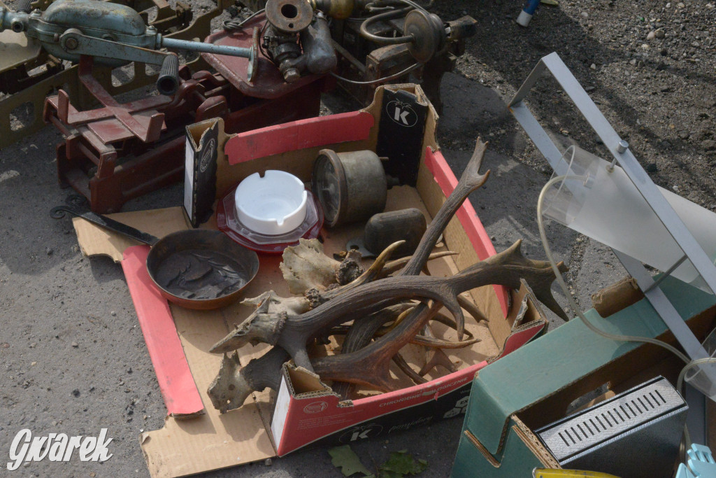 Tarnowskie Góry. Pierwszy w tym roku pchli targ