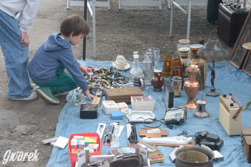 Tarnowskie Góry. Pierwszy w tym roku pchli targ