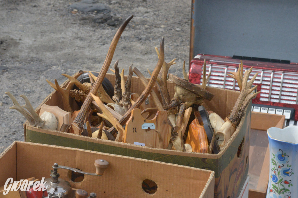 Tarnowskie Góry. Pierwszy w tym roku pchli targ