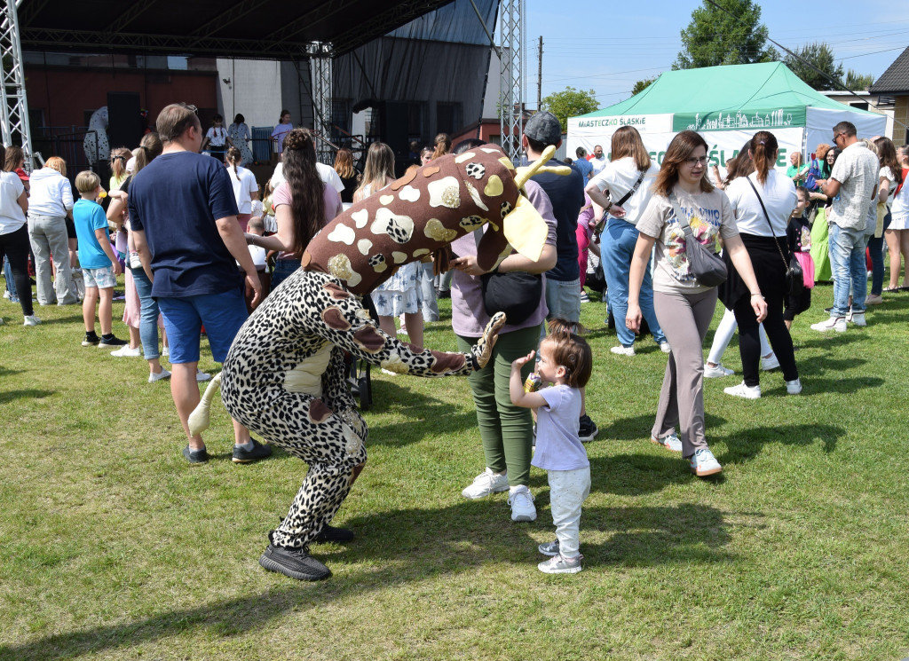 Dzień Dziecka w Miasteczku Śląskim