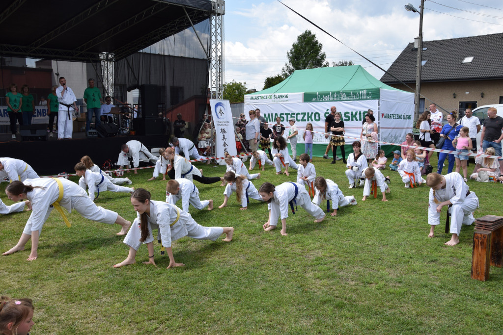 Dzień Dziecka w Miasteczku Śląskim