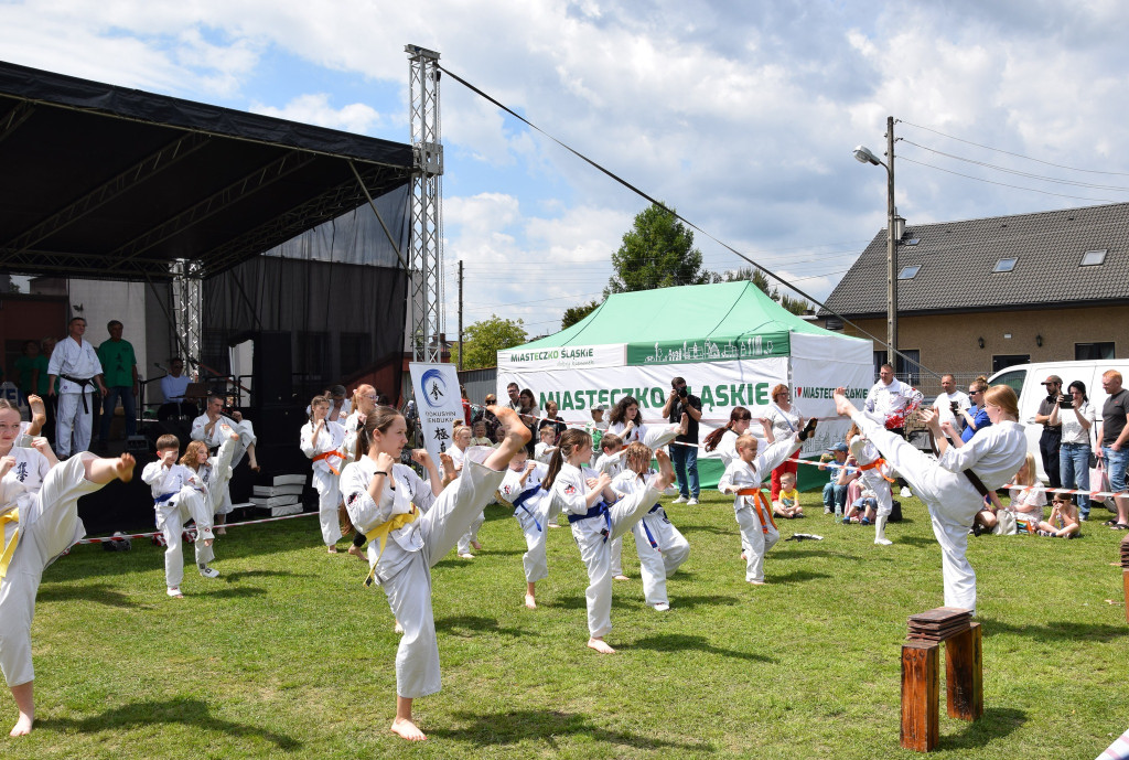 Dzień Dziecka w Miasteczku Śląskim