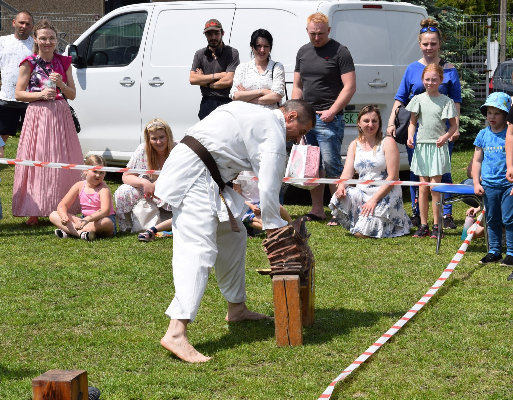Dzień Dziecka w Miasteczku Śląskim