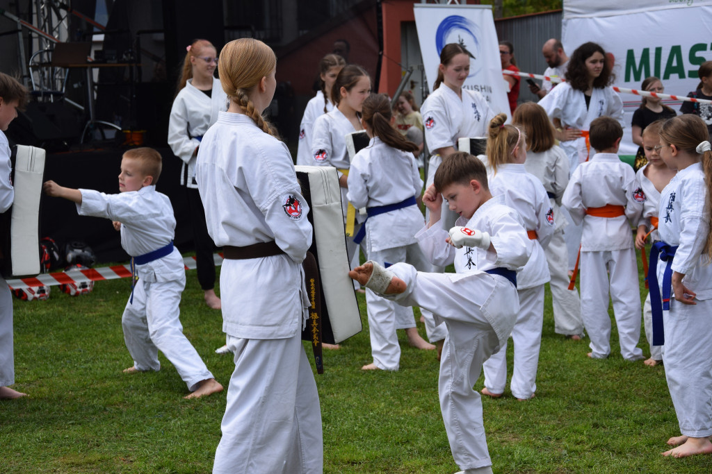 Dzień Dziecka w Miasteczku Śląskim