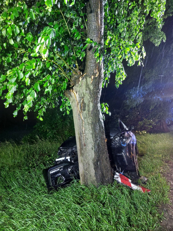 Wjechał bmw w drzewo