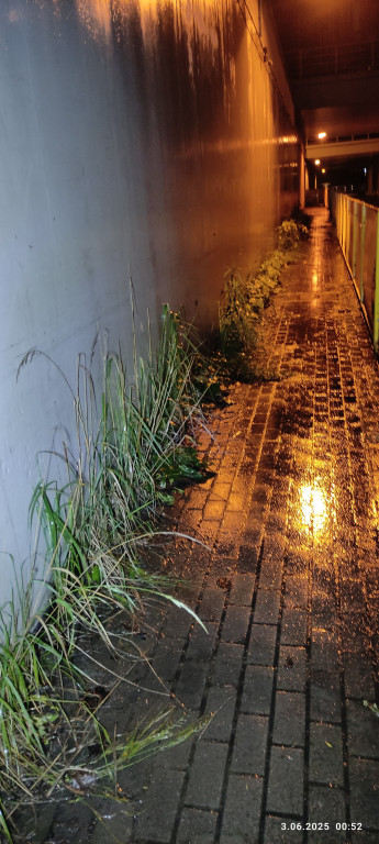 Częstochowska w złym stanie