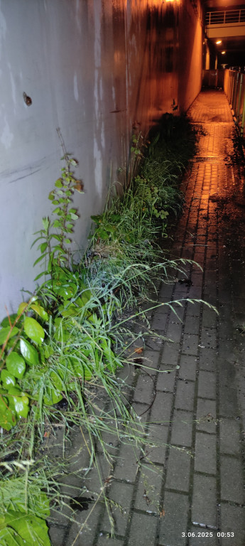 Częstochowska w złym stanie