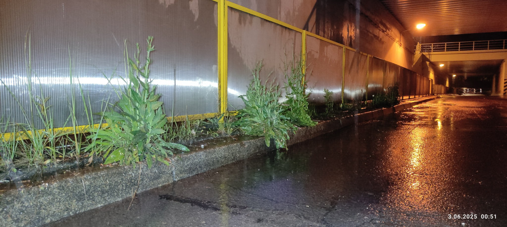 Częstochowska w złym stanie