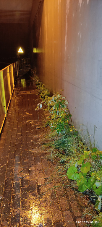 Częstochowska w złym stanie