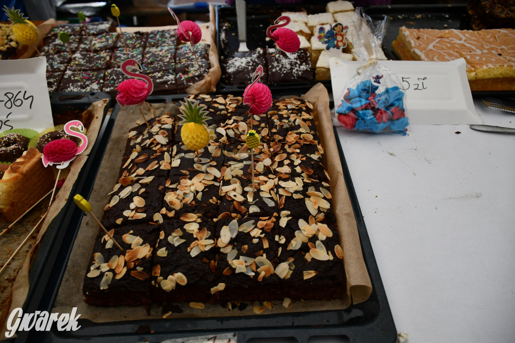 Pniowiec. Charytatywny Bartusiowy Bieg Nordicusa