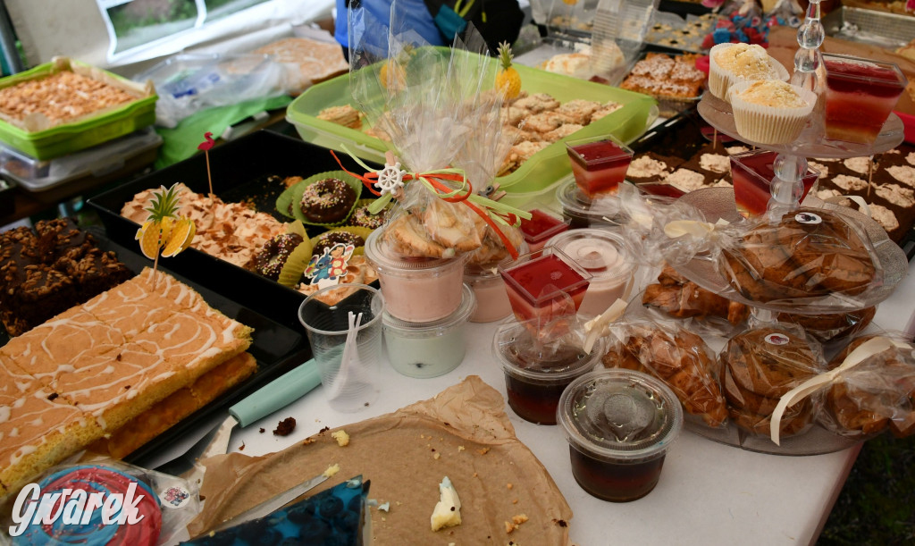 Pniowiec. Charytatywny Bartusiowy Bieg Nordicusa