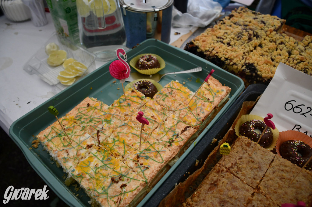 Pniowiec. Charytatywny Bartusiowy Bieg Nordicusa