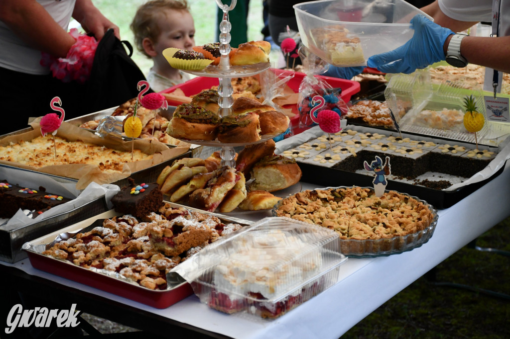 Pniowiec. Charytatywny Bartusiowy Bieg Nordicusa