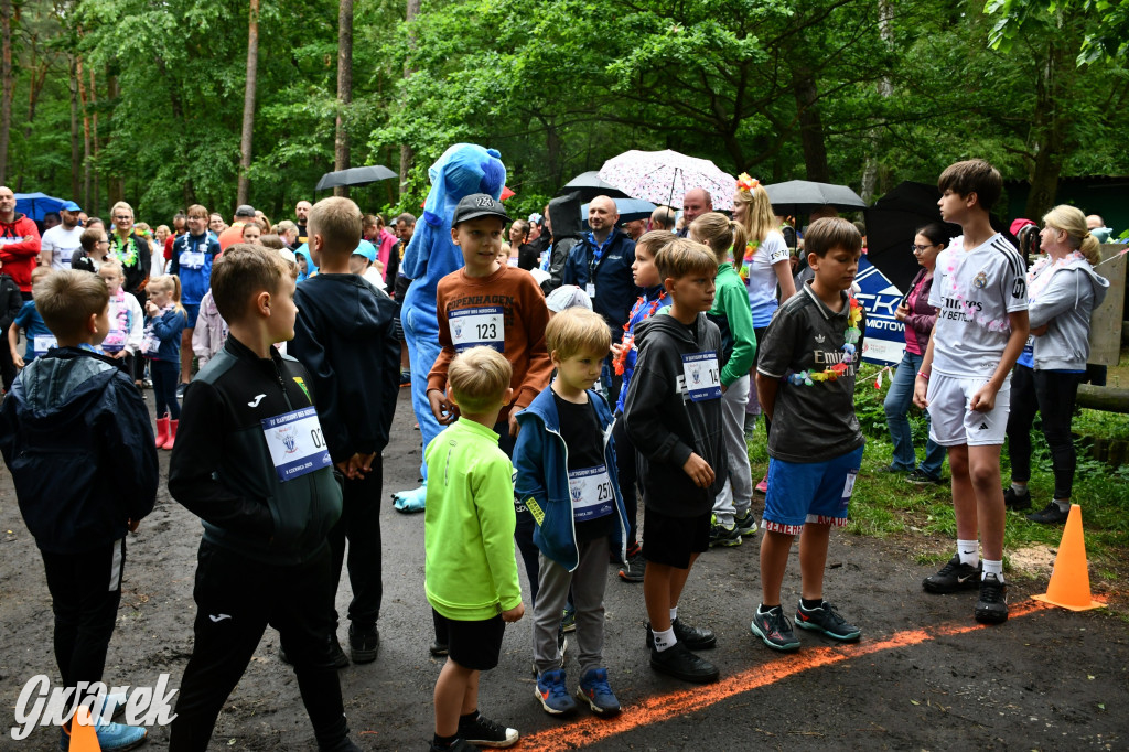 Pniowiec. Charytatywny Bartusiowy Bieg Nordicusa