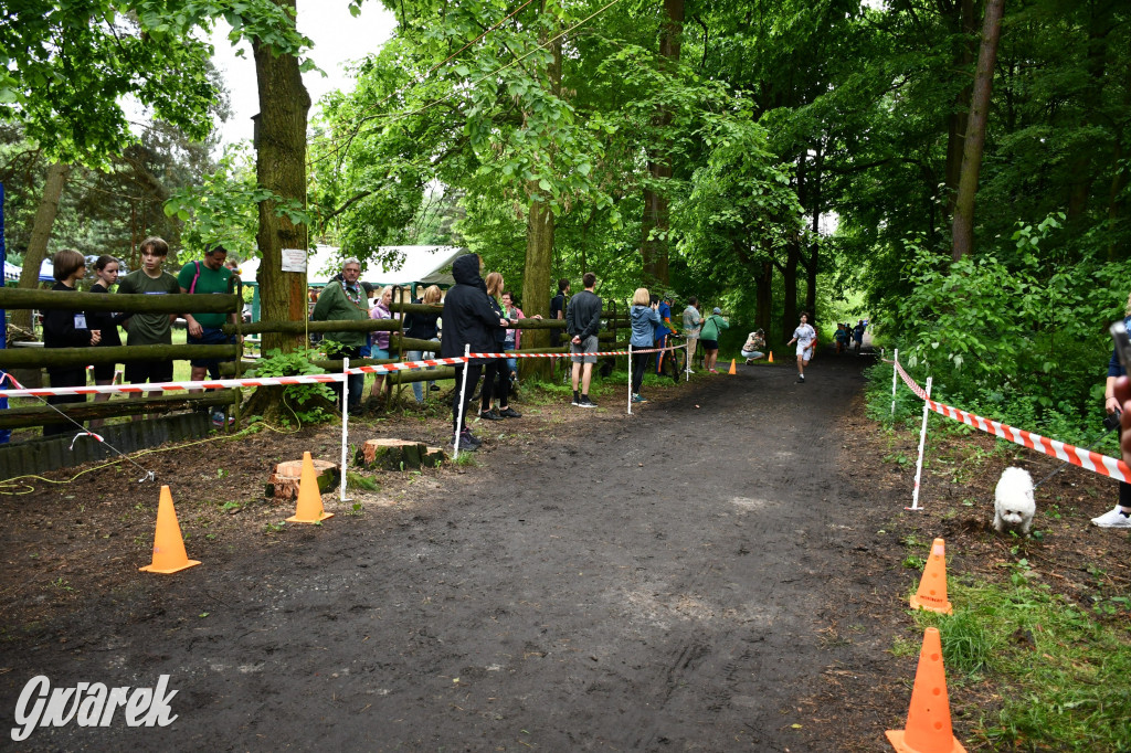 Pniowiec. Charytatywny Bartusiowy Bieg Nordicusa