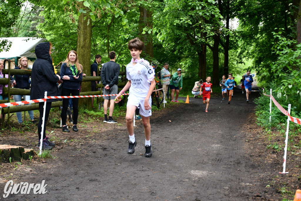 Pniowiec. Charytatywny Bartusiowy Bieg Nordicusa